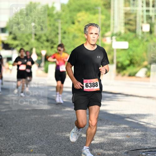 06.09.2026 - CURREX Alsterlauf Dr. Thomas Lammeyer http://msf.ph/oto/10124082 06.09.2026 09:40:50 Laufen 6388 meine-sportfotos.de