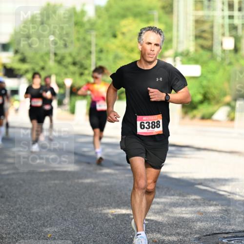 06.09.2026 - CURREX Alsterlauf Dr. Thomas Lammeyer http://msf.ph/oto/10124084 06.09.2026 09:40:50 Laufen 6388 meine-sportfotos.de