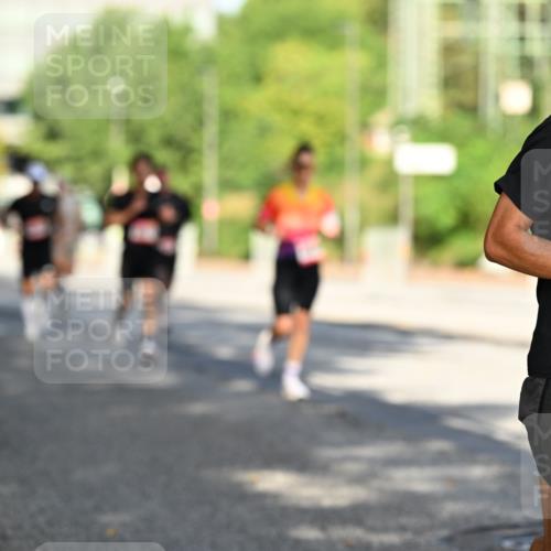 06.09.2026 - CURREX Alsterlauf Dr. Thomas Lammeyer http://msf.ph/oto/10124092 06.09.2026 09:40:51 Laufen 6388 meine-sportfotos.de