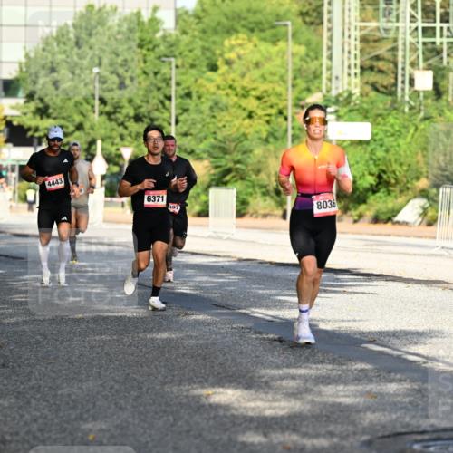 06.09.2026 - CURREX Alsterlauf Dr. Thomas Lammeyer http://msf.ph/oto/10124098 06.09.2026 09:40:52 Laufen 370, 4443, 6371, 497, 8036 meine-sportfotos.de