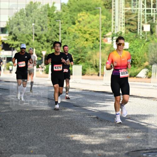 06.09.2026 - CURREX Alsterlauf Dr. Thomas Lammeyer http://msf.ph/oto/10124101 06.09.2026 09:40:52 Laufen 5370, 4443, 6371, 8036 meine-sportfotos.de