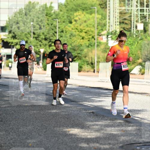 06.09.2026 - CURREX Alsterlauf Dr. Thomas Lammeyer http://msf.ph/oto/10124102 06.09.2026 09:40:52 Laufen 4443, 6371, 397, 803 meine-sportfotos.de