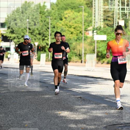 06.09.2026 - CURREX Alsterlauf Dr. Thomas Lammeyer http://msf.ph/oto/10124108 06.09.2026 09:40:52 Laufen 4443, 6371, 8036 meine-sportfotos.de