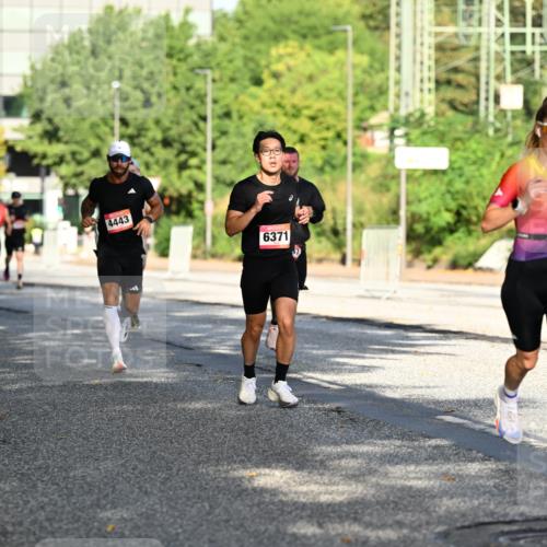 06.09.2026 - CURREX Alsterlauf Dr. Thomas Lammeyer http://msf.ph/oto/10124110 06.09.2026 09:40:53 Laufen 4443, 6371, 8, 803 meine-sportfotos.de