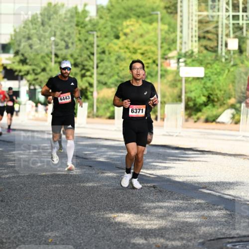 06.09.2026 - CURREX Alsterlauf Dr. Thomas Lammeyer http://msf.ph/oto/10124115 06.09.2026 09:40:53 Laufen 4443, 6371, 8036 meine-sportfotos.de