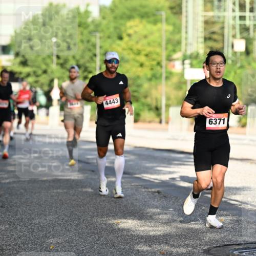 06.09.2026 - CURREX Alsterlauf Dr. Thomas Lammeyer http://msf.ph/oto/10124131 06.09.2026 09:40:54 Laufen 4443, 6371 meine-sportfotos.de