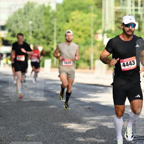 06.09.2026 - CURREX Alsterlauf Dr. Thomas Lammeyer http://msf.ph/oto/10124146 06.09.2026 09:40:56 Laufen 5649, 4443 meine-sportfotos.de