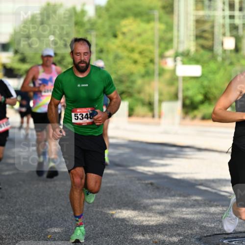 06.09.2026 - CURREX Alsterlauf Dr. Thomas Lammeyer http://msf.ph/oto/10124256 06.09.2026 09:41:11 Laufen 5348, 5060 meine-sportfotos.de