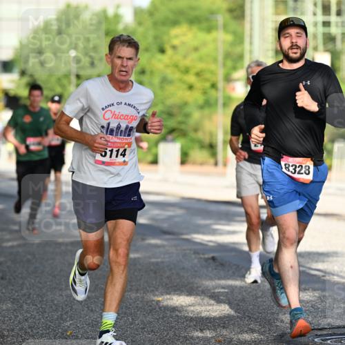 06.09.2026 - CURREX Alsterlauf Dr. Thomas Lammeyer http://msf.ph/oto/10124336 06.09.2026 09:41:19 Laufen 114, 8, 8328 meine-sportfotos.de