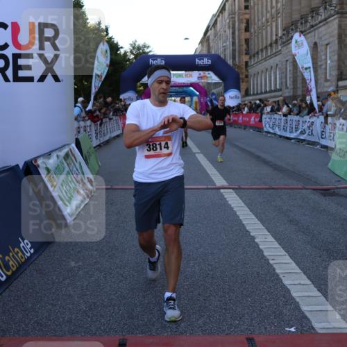 06.09.2026 - CURREX Alsterlauf Strokosch-Dieckow http://msf.ph/oto/10124572 06.09.2026 09:43:33 Ziel 3523, 3524, 3561, 3814, 4089, 4397, 4443, 4505, 5098, 5370, 5919, 6388, 8164, 8316 meine-sportfotos.de