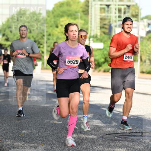06.09.2026 - CURREX Alsterlauf Dr. Thomas Lammeyer http://msf.ph/oto/10124589 06.09.2026 09:41:51 Laufen 3503, 1230, 5529, 2442 meine-sportfotos.de