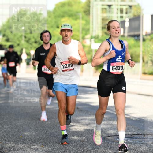 06.09.2026 - CURREX Alsterlauf Dr. Thomas Lammeyer http://msf.ph/oto/10124780 06.09.2026 09:42:11 Laufen 364, 2289, 6420 meine-sportfotos.de