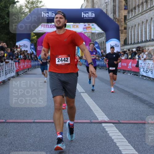 06.09.2026 - CURREX Alsterlauf Strokosch-Dieckow http://msf.ph/oto/10125251 06.09.2026 09:44:48 Ziel 2442, 2452, 2610, 3226, 3445, 3671, 3802, 3803, 4039, 5286, 6201, 8264 meine-sportfotos.de