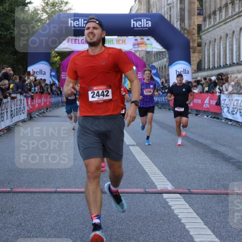 06.09.2026 - CURREX Alsterlauf Strokosch-Dieckow http://msf.ph/oto/10125256 06.09.2026 09:44:48 Ziel 2442, 2452, 2610, 3226, 3445, 3671, 3802, 3803, 4039, 5286, 6201, 8264 meine-sportfotos.de