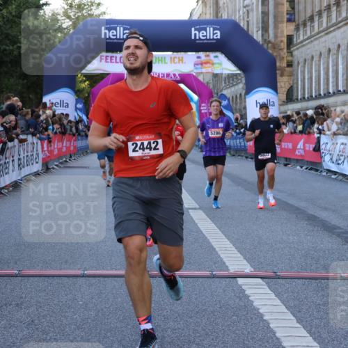06.09.2026 - CURREX Alsterlauf Strokosch-Dieckow http://msf.ph/oto/10125261 06.09.2026 09:44:48 Ziel 2442, 2452, 2610, 3226, 3445, 3671, 3802, 3803, 4039, 5286, 6201, 8264 meine-sportfotos.de