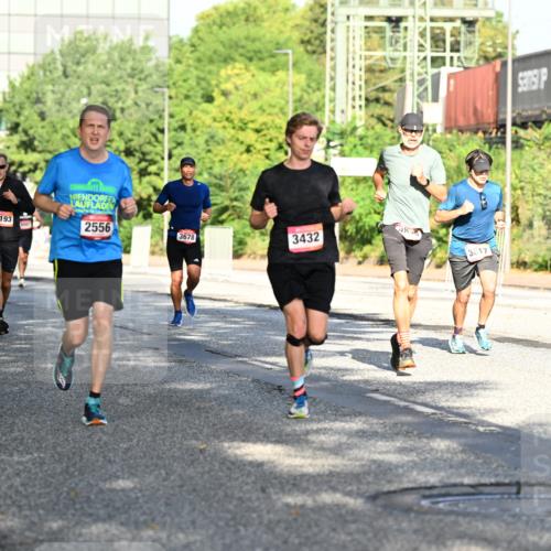 06.09.2026 - CURREX Alsterlauf Dr. Thomas Lammeyer http://msf.ph/oto/10125691 06.09.2026 09:43:49 Laufen 4193, 2556, 3678, 3432, 4677, 485, 3617 meine-sportfotos.de