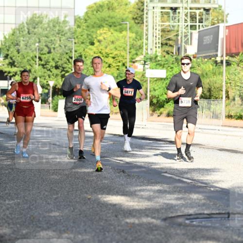 06.09.2026 - CURREX Alsterlauf Dr. Thomas Lammeyer http://msf.ph/oto/10125841 06.09.2026 09:44:03 Laufen 6255, 2605, 8104, 6021, 5877, 5731 meine-sportfotos.de