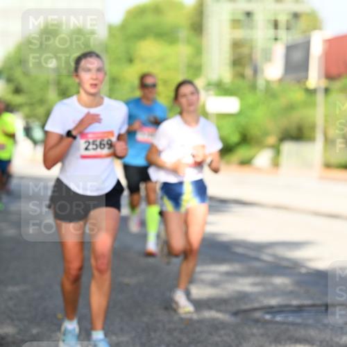 06.09.2026 - CURREX Alsterlauf Dr. Thomas Lammeyer http://msf.ph/oto/10125896 06.09.2026 09:44:11 Laufen 2569 meine-sportfotos.de