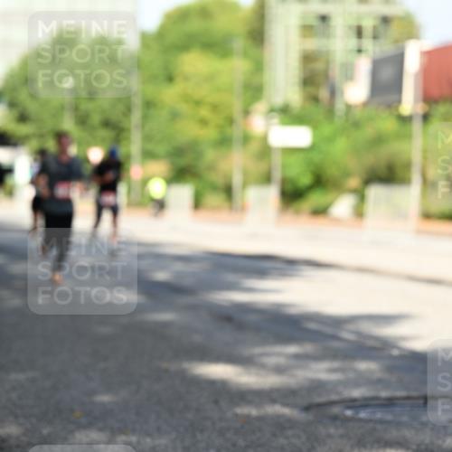 06.09.2026 - CURREX Alsterlauf Dr. Thomas Lammeyer http://msf.ph/oto/10125998 06.09.2026 09:44:20 Laufen  meine-sportfotos.de