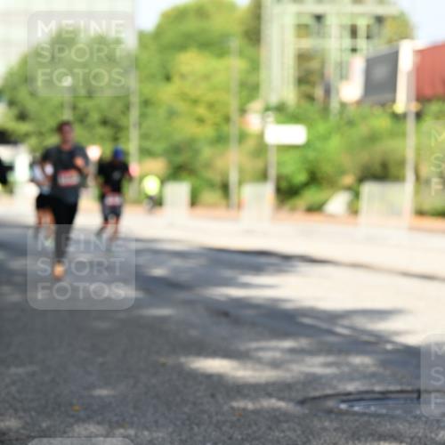 06.09.2026 - CURREX Alsterlauf Dr. Thomas Lammeyer http://msf.ph/oto/10126000 06.09.2026 09:44:20 Laufen  meine-sportfotos.de