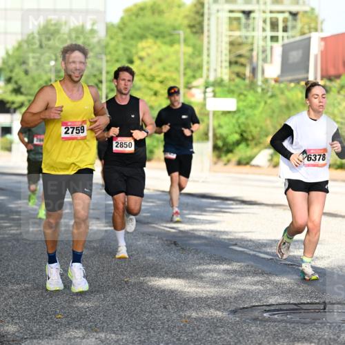 06.09.2026 - CURREX Alsterlauf Dr. Thomas Lammeyer http://msf.ph/oto/10126208 06.09.2026 09:44:48 Laufen 2759, 2850, 6378 meine-sportfotos.de