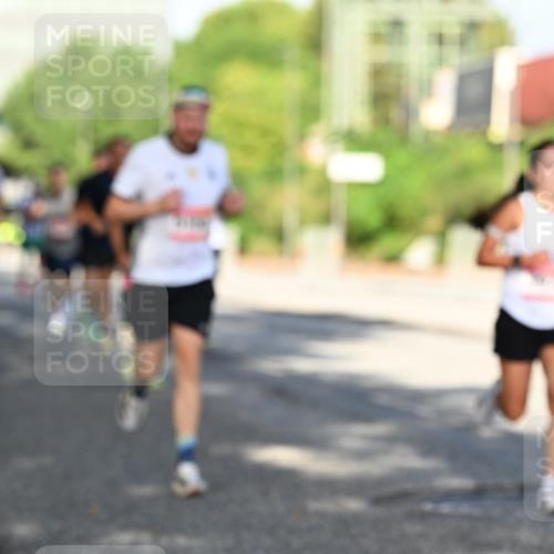 06.09.2026 - CURREX Alsterlauf Dr. Thomas Lammeyer http://msf.ph/oto/10126526 06.09.2026 09:45:28 Laufen  meine-sportfotos.de