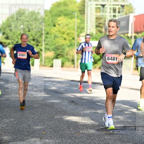06.09.2026 - CURREX Alsterlauf Dr. Thomas Lammeyer http://msf.ph/oto/10126568 06.09.2026 09:45:33 Laufen 245, 2081, 6481, 4774 meine-sportfotos.de