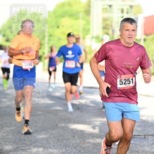 06.09.2026 - CURREX Alsterlauf Dr. Thomas Lammeyer http://msf.ph/oto/10126795 06.09.2026 09:45:58 Laufen 11, 3880, 40, 42, 195, 5251 meine-sportfotos.de