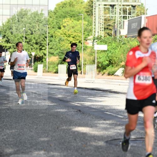 06.09.2026 - CURREX Alsterlauf Dr. Thomas Lammeyer http://msf.ph/oto/10126940 06.09.2026 09:46:14 Laufen 3113, 221, 6181, 8073, 8223, 6380, 5667 meine-sportfotos.de