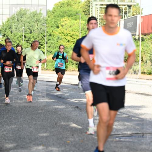 06.09.2026 - CURREX Alsterlauf Dr. Thomas Lammeyer http://msf.ph/oto/10126997 06.09.2026 09:46:20 Laufen 1045, 6035, 8234, 5331, 617, 4249, 3113 meine-sportfotos.de
