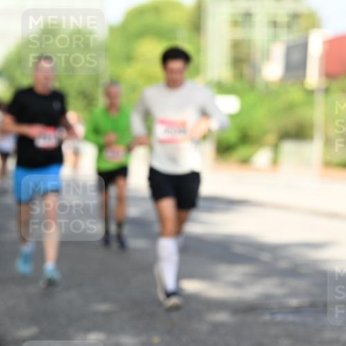 06.09.2026 - CURREX Alsterlauf Dr. Thomas Lammeyer http://msf.ph/oto/10127216 06.09.2026 09:46:45 Laufen  meine-sportfotos.de