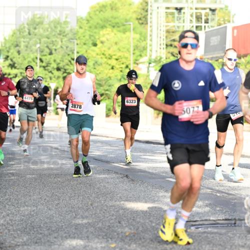 06.09.2026 - CURREX Alsterlauf Dr. Thomas Lammeyer http://msf.ph/oto/10127373 06.09.2026 09:47:00 Laufen 6475, 2878, 6323, 5077, 6010 meine-sportfotos.de