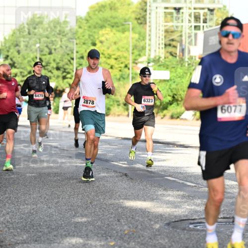 06.09.2026 - CURREX Alsterlauf Dr. Thomas Lammeyer http://msf.ph/oto/10127377 06.09.2026 09:47:00 Laufen 6475, 2878, 6323, 6077 meine-sportfotos.de