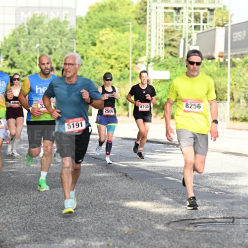 06.09.2026 - CURREX Alsterlauf Dr. Thomas Lammeyer http://msf.ph/oto/10127513 06.09.2026 09:47:13 Laufen 241, 6248, 4846, 33, 2506, 5191, 4700, 8256 meine-sportfotos.de