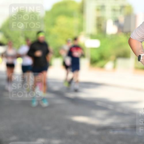 06.09.2026 - CURREX Alsterlauf Dr. Thomas Lammeyer http://msf.ph/oto/10127568 06.09.2026 09:47:19 Laufen 24 meine-sportfotos.de