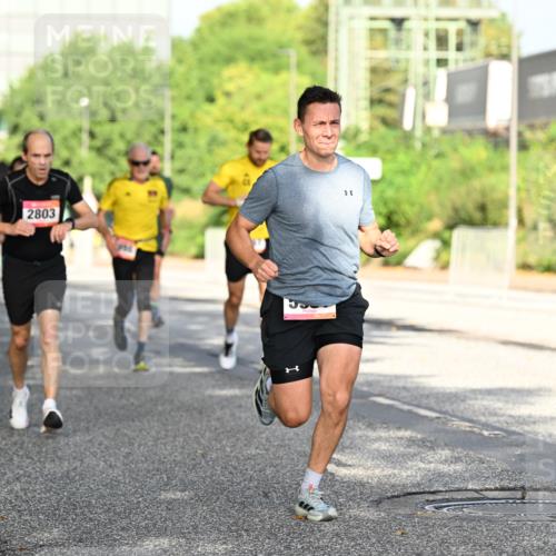 06.09.2026 - CURREX Alsterlauf Dr. Thomas Lammeyer http://msf.ph/oto/10127644 06.09.2026 09:47:30 Laufen 2803 meine-sportfotos.de