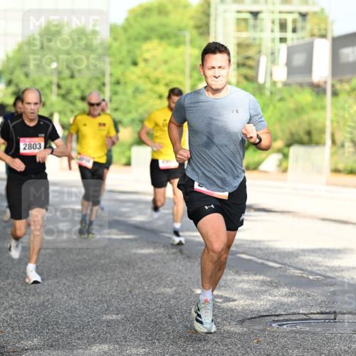 06.09.2026 - CURREX Alsterlauf Dr. Thomas Lammeyer http://msf.ph/oto/10127645 06.09.2026 09:47:30 Laufen 2803 meine-sportfotos.de