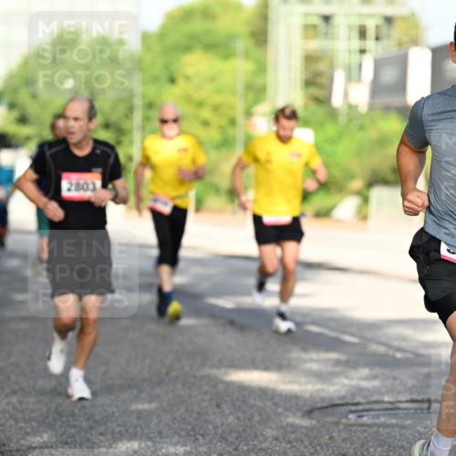 06.09.2026 - CURREX Alsterlauf Dr. Thomas Lammeyer http://msf.ph/oto/10127653 06.09.2026 09:47:31 Laufen 2803 meine-sportfotos.de