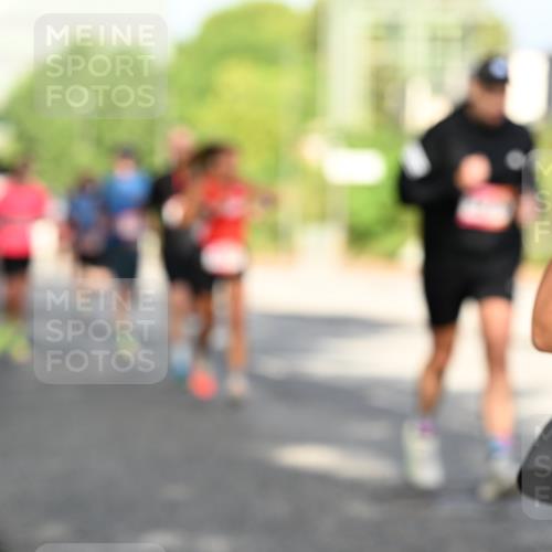 06.09.2026 - CURREX Alsterlauf Dr. Thomas Lammeyer http://msf.ph/oto/10127748 06.09.2026 09:47:43 Laufen  meine-sportfotos.de