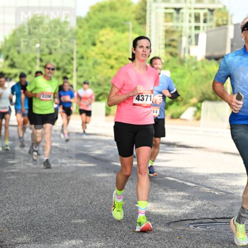 06.09.2026 - CURREX Alsterlauf Dr. Thomas Lammeyer http://msf.ph/oto/10127779 06.09.2026 09:47:47 Laufen 2200, 4371, 44, 5102 meine-sportfotos.de