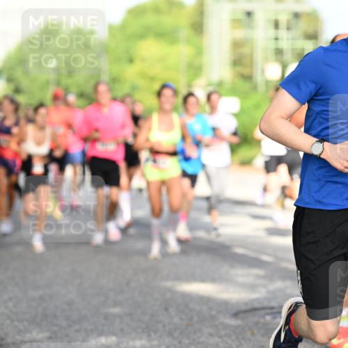 06.09.2026 - CURREX Alsterlauf Dr. Thomas Lammeyer http://msf.ph/oto/10128011 06.09.2026 09:48:11 Laufen 910 meine-sportfotos.de