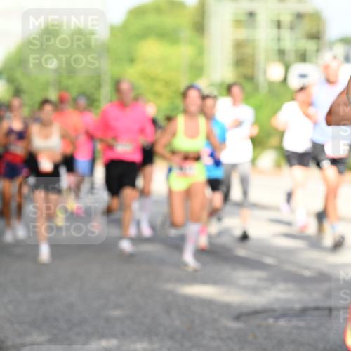 06.09.2026 - CURREX Alsterlauf Dr. Thomas Lammeyer http://msf.ph/oto/10128014 06.09.2026 09:48:11 Laufen 5 meine-sportfotos.de