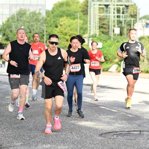 06.09.2026 - CURREX Alsterlauf Dr. Thomas Lammeyer http://msf.ph/oto/10128156 06.09.2026 09:48:32 Laufen 210, 383, 4427, 6453, 3286, 5596 meine-sportfotos.de