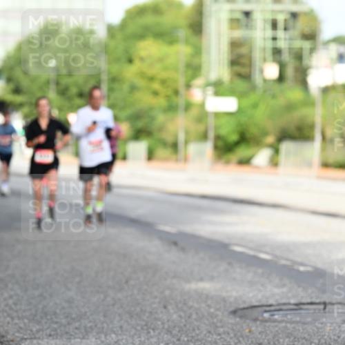 06.09.2026 - CURREX Alsterlauf Dr. Thomas Lammeyer http://msf.ph/oto/10128268 06.09.2026 09:48:47 Laufen 47, 1 meine-sportfotos.de