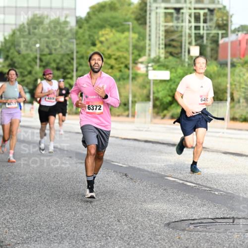 06.09.2026 - CURREX Alsterlauf Dr. Thomas Lammeyer http://msf.ph/oto/10129216 06.09.2026 09:50:30 Laufen 559, 4617, 4308, 6372, 645 meine-sportfotos.de