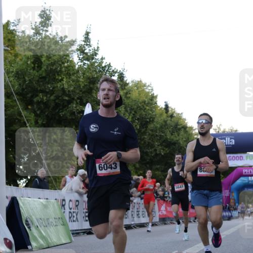 06.09.2026 - CURREX Alsterlauf Yannick Fuchs http://msf.ph/oto/10129271 06.09.2026 09:37:37 Ziel 2021, 2391, 3040, 3809, 4201, 4625, 5374, 5641, 6043, 6494, 8084 meine-sportfotos.de