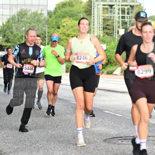 06.09.2026 - CURREX Alsterlauf Dr. Thomas Lammeyer http://msf.ph/oto/10129309 06.09.2026 09:50:40 Laufen 3102, 2309, 5446, 8246, 8299, 5477 meine-sportfotos.de