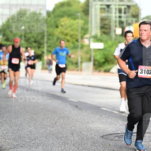 06.09.2026 - CURREX Alsterlauf Dr. Thomas Lammeyer http://msf.ph/oto/10129359 06.09.2026 09:50:45 Laufen 3102 meine-sportfotos.de