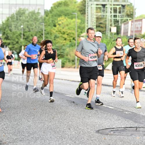 06.09.2026 - CURREX Alsterlauf Dr. Thomas Lammeyer http://msf.ph/oto/10129511 06.09.2026 09:51:02 Laufen 33, 6016, 56, 4309, 596, 84, 4308, 6331 meine-sportfotos.de