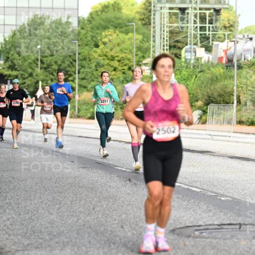 06.09.2026 - CURREX Alsterlauf Dr. Thomas Lammeyer http://msf.ph/oto/10129794 06.09.2026 09:51:35 Laufen 432, 6373, 5721, 4206, 264, 3251, 2502 meine-sportfotos.de